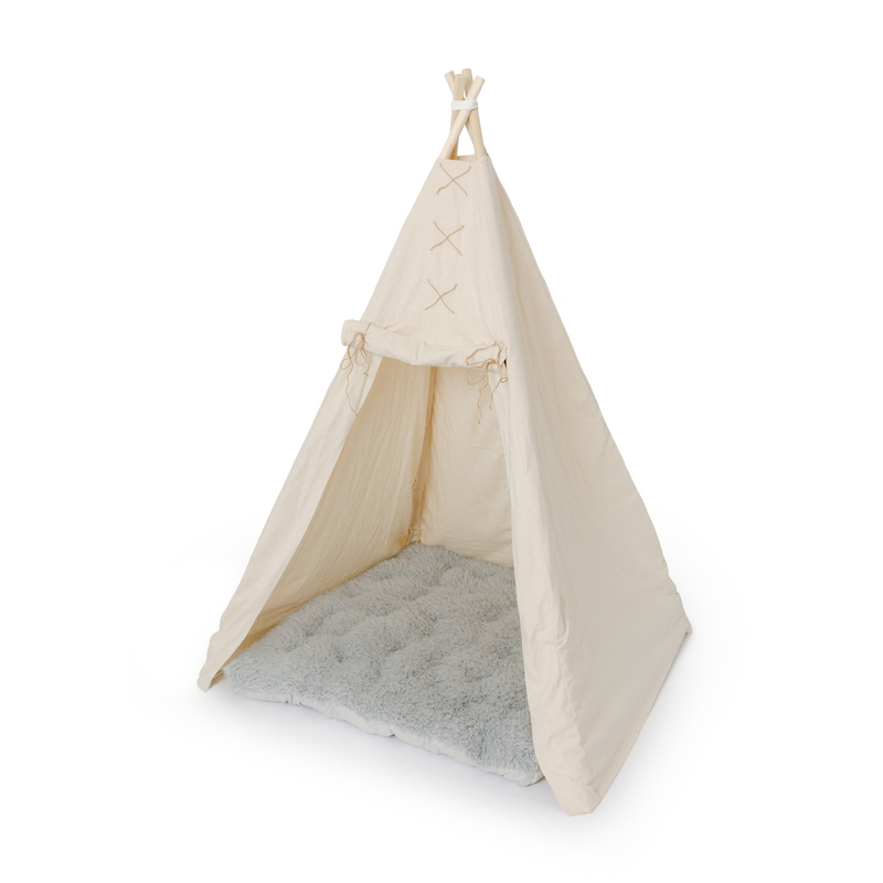 The Ethan Play Tent
